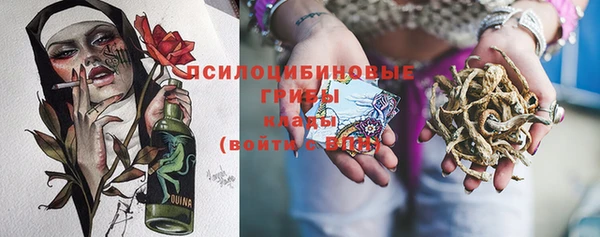 хмурый Алексеевка