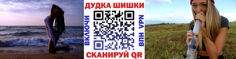 Купить закладки  Богучар  Конопля план 
